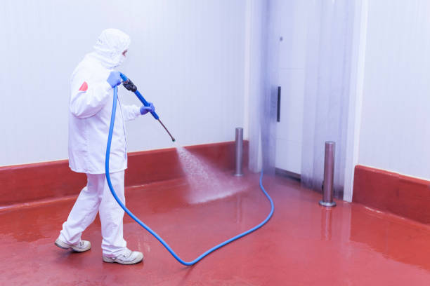 Best Driveway Pressure Washing  in Buckhorn, CA